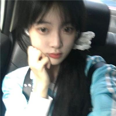 新沙洞燕子