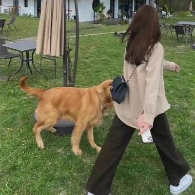 何以笙箫默